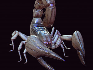Water Scorpion 3D Модель