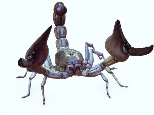 Water Scorpion 3D Model