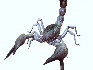 Water Scorpion 3D Model