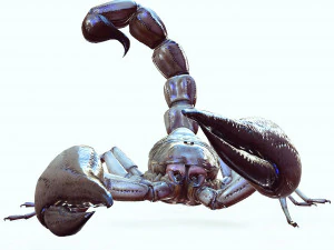 Water Scorpion 3D Model