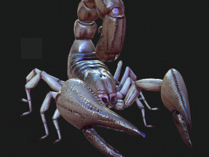 Water Scorpion 3D Модель