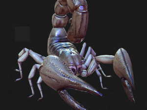 Water Scorpion 3D Model
