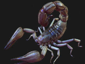 Water Scorpion 3D Model