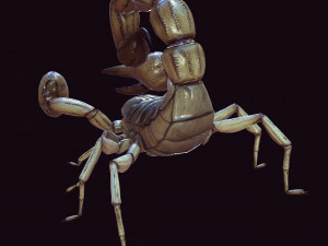 Water Scorpion 3D Модель