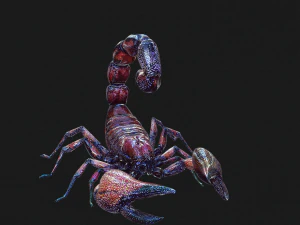 Egyptian Scorpion 3D Model