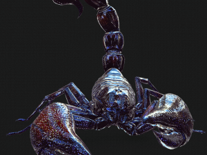 Egyptian Scorpion 3D Model