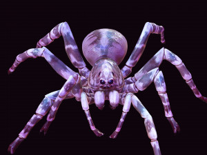 Spider 3D Model