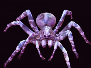 Spider 3D Model