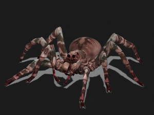 Spider 3D Model