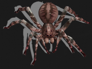 Spider 3D Model