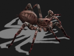 Spider 3D Model