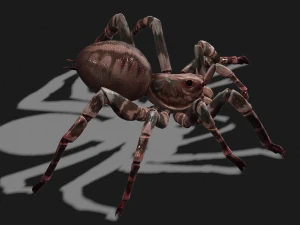 Spider 3D Model