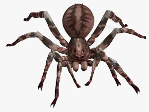 Spider 3D Model