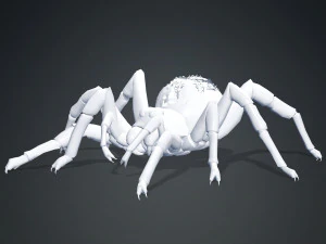 Spider 3D Model