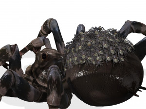 Spider Animated QUEEN SPIDER ARACHNID 3D Model