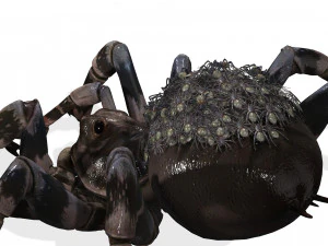 Spider Animated QUEEN SPIDER ARACHNID 3D Model