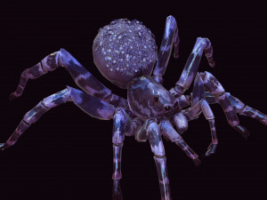 Spider Animated QUEEN SPIDER ARACHNID 3D Model