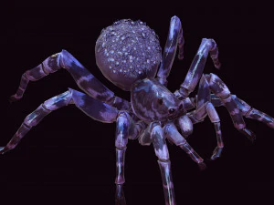 Spider Animated QUEEN SPIDER ARACHNID 3D Model