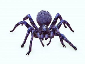 Spider Animated QUEEN SPIDER ARACHNID 3D Model
