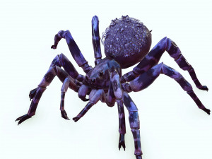 Spider Animated QUEEN SPIDER ARACHNID 3D Model
