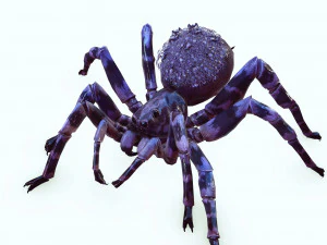 Spider Animated QUEEN SPIDER ARACHNID 3D Model