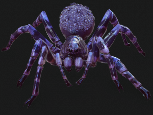 Spider Animated QUEEN SPIDER ARACHNID 3D Model