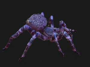 Spider Animated QUEEN SPIDER ARACHNID 3D Model