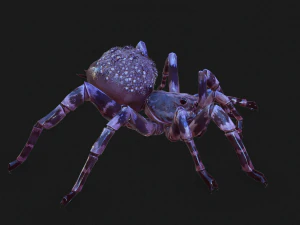 Spider Animated QUEEN SPIDER ARACHNID 3D Model