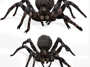 Spider Animated QUEEN SPIDER ARACHNID 3D Model