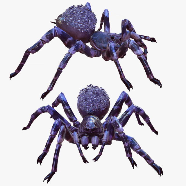 Spider Animated QUEEN SPIDER ARACHNID 3D Model .c4d .max .obj .3ds .fbx .stl .blend 