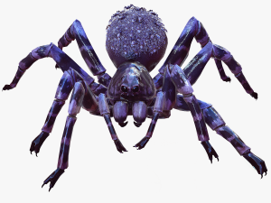 Spider Animated QUEEN SPIDER ARACHNID 3D Model