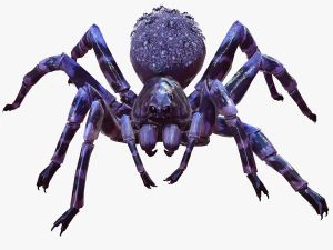 Spider Animated QUEEN SPIDER ARACHNID 3D Model
