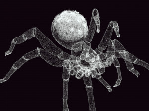 Spider Animated QUEEN SPIDER ARACHNID 3D Model