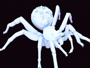Spider Animated QUEEN SPIDER ARACHNID 3D Model