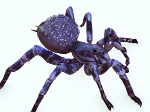 Spider Animated QUEEN SPIDER ARACHNID 3D Model