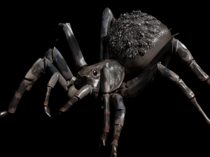 Spider Animated QUEEN SPIDER ARACHNID 3D Model