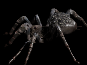 Spider Animated QUEEN SPIDER ARACHNID 3D Model