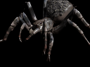 Spider Animated QUEEN SPIDER ARACHNID 3D Model