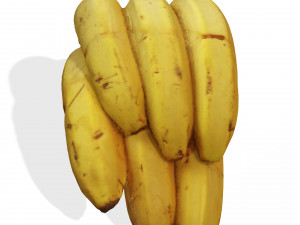BANANA 3D MODEL - 3D PRINTING - OBJ - FBX - 3D PROJECT CREATE AND GAME READY 3D Принт Модель