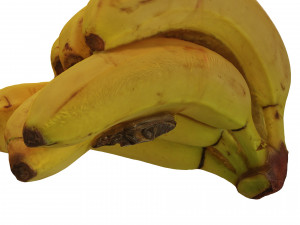 BANANA 3D MODEL - 3D PRINTING - OBJ - FBX - 3D PROJECT CREATE AND GAME READY 3D Принт Модель