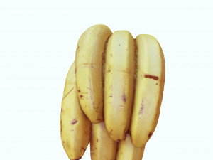 BANANA 3D MODEL - 3D PRINTING - OBJ - FBX - 3D PROJECT CREATE AND GAME READY 3D Принт Модель