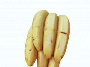 BANANA 3D MODEL - 3D PRINTING - OBJ - FBX - 3D PROJECT CREATE AND GAME READY 3D Принт Модель