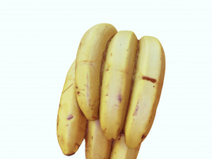 BANANA 3D MODEL - 3D PRINTING - OBJ - FBX - 3D PROJECT CREATE AND GAME READY 3D Принт Модель