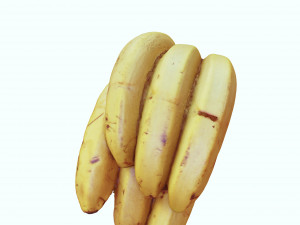 BANANA 3D MODEL - 3D PRINTING - OBJ - FBX - 3D PROJECT CREATE AND GAME READY 3D Принт Модель