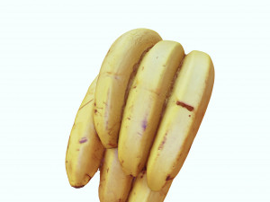 BANANA 3D MODEL - 3D PRINTING - OBJ - FBX - 3D PROJECT CREATE AND GAME READY 3D Принт Модель