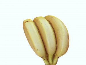 BANANA 3D MODEL - 3D PRINTING - OBJ - FBX - 3D PROJECT CREATE AND GAME READY 3D Принт Модель