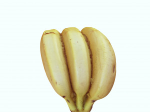 BANANA 3D MODEL - 3D PRINTING - OBJ - FBX - 3D PROJECT CREATE AND GAME READY 3D Принт Модель