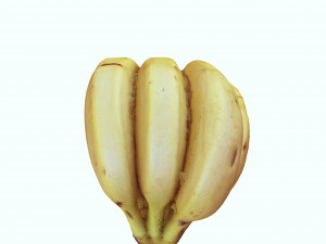 BANANA 3D MODEL - 3D PRINTING - OBJ - FBX - 3D PROJECT CREATE AND GAME READY 3D Принт Модель