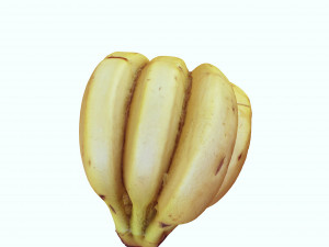 BANANA 3D MODEL - 3D PRINTING - OBJ - FBX - 3D PROJECT CREATE AND GAME READY 3D Принт Модель