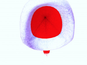 SANTA HAT 3D - OBJ - FBX 3D Принт Модель
